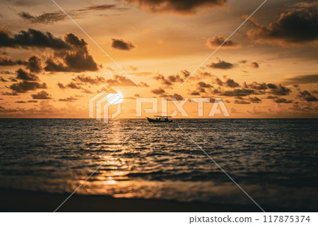 Golden Horizon: Waves Gently Kiss the Shore as the Sun Sets Golden Horizon: Waves Gently Kiss the Shore as the Sun Sets 117875374