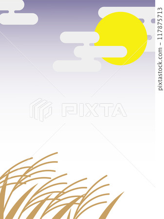 Silver grass floating in the night sky 117875713