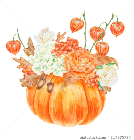 Pumpkin, orange and white roses, physalis, rowan berries, cream hydrangea inflorescence. Hand drawn watercolor isolated illustration with fall vegetable and plants. Cut out botanical harvest clipart 117875724