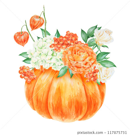 Pumpkin, orange and white roses, physalis, rowan berries, cream hydrangea inflorescence. Hand drawn watercolor isolated illustration with fall vegetable and plants. Cut out botanical harvest clipart Pumpkin, orange and white roses, physalis, rowan berries, cream hydrangea inflorescence. Hand drawn watercolor isolated illustration with fall vegetable and plants. Cut out botanical harvest clipart 117875731