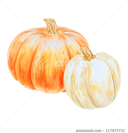 Orange and white pumpkins. Realistic botanical painting. Rustic style. Hand drawn watercolor isolated illustration with fall vegetables for poster, Halloween prints, cards. Botanical colorful clipart. Orange and white pumpkins. Realistic botanical painting. Rustic style. Hand drawn watercolor isolated illustration with fall vegetables for poster, Halloween prints, cards. Botanical colorful clipart. 117875732