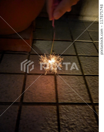 玩煙花的人 117875748