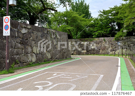 日本百城、彥根城 117876467