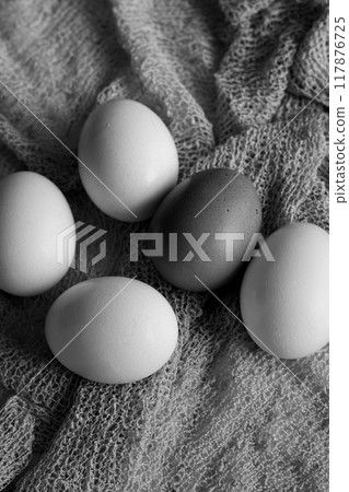 雞蛋的單色照片 雞蛋的單色照片 117876725