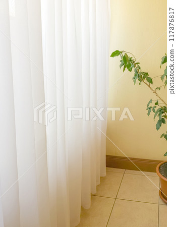 The interior of a bright room with a white transparent curtain and a flower pot on the floor, vertical 117876817