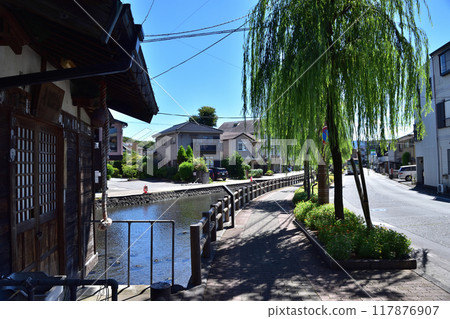 Mishima City, Shirataki Kannon-do and Sakuragawa River Mishima City, Shirataki Kannon-do and Sakuragawa River 117876907