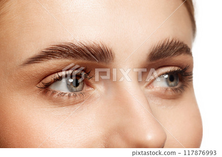 Close-up of beautiful clear female face with attractive gray eyes, perfect eyebrows and natural lashes. Eyebrow and lash lamination. Close-up of beautiful clear female face with attractive gray eyes, perfect eyebrows and natural lashes. Eyebrow and lash lamination. 117876993
