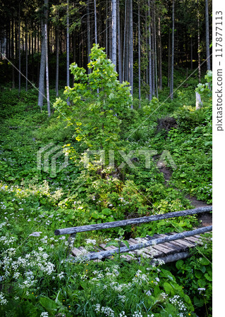 Western Tatras mountain scenery, Slovakia 117877113