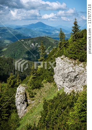 Western Tatras mountain scenery, Slovakia 117877118