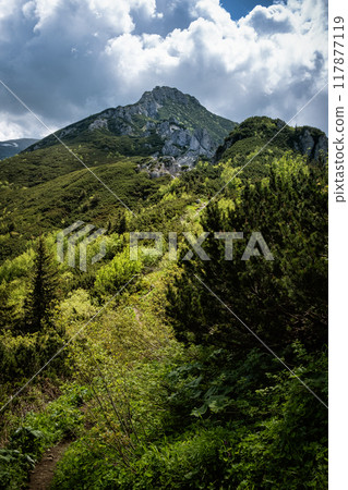 Western Tatras mountain scenery, Slovakia 117877119