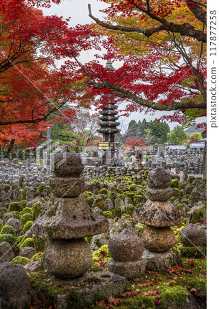 stone pagoda fall foliage background adashino nenbutsu-ji temple stone pagoda fall foliage background adashino nenbutsu-ji temple 117877258