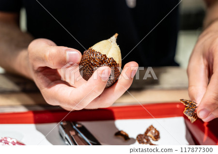 Close up image on the hands of a young caucasian man peeling a snake fruit. Healthy and genuine lifestyle. 117877300