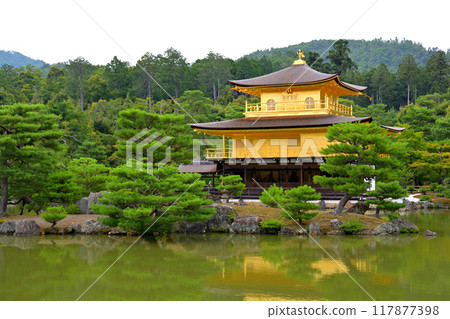 京都的金閣寺 117877398