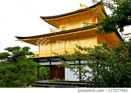 京都的金閣寺 京都的金閣寺 117877405