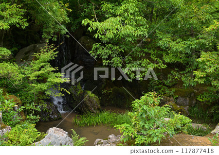 京都的金閣寺 京都的金閣寺 117877418