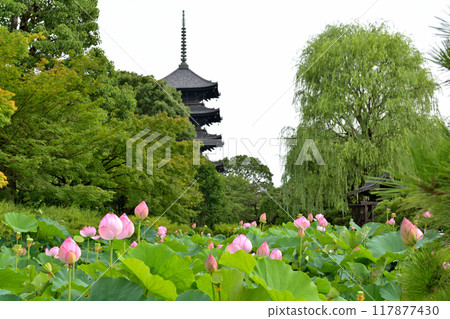 Kyoto · Toji 117877430