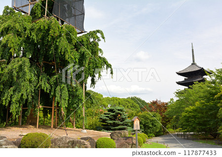 京都·東寺 京都·東寺 117877433