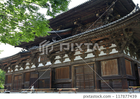 京都·東寺 117877439