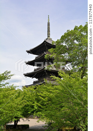 京都·東寺 117877440
