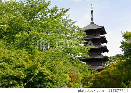 京都·東寺 117877444