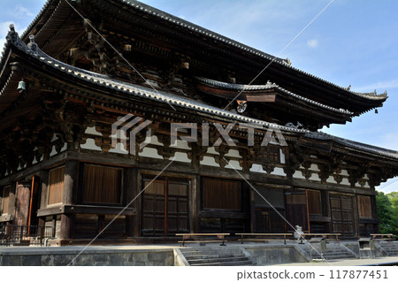 Kyoto · Toji 117877451
