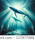 Whale swimming in the ocean 117877888