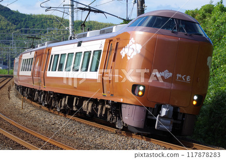 273系特急“八雲號”，車身嚴重傾斜，進入急轉彎。 117878283