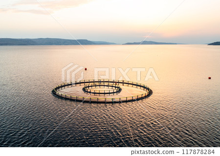 Fish farm at sunset with circular nets in tranquil waters, showcasing aquaculture techniques.  117878284