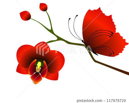 A branch of an orchid with a red butterfly. A branch of an orchid with a red butterfly. 117878720