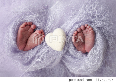 Feet of newborn twins. Two pairs of baby feet in a blue lilac blanket. White knitted heart. Close up - toes, heels and feet of a newborn Newborn twins brothers, sisters. Studio macro photograph. Feet of newborn twins. Two pairs of baby feet in a blue lilac blanket. White knitted heart. Close up - toes, heels and feet of a newborn Newborn twins brothers, sisters. Studio macro photograph. 117879297