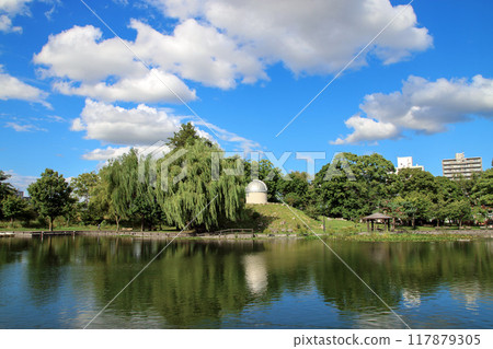 公園池塘(常磐公園~北海道旭川市) 公園池塘(常磐公園~北海道旭川市) 117879305