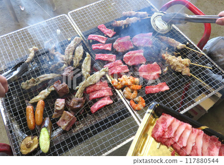 Grilled meat barbecue 117880544