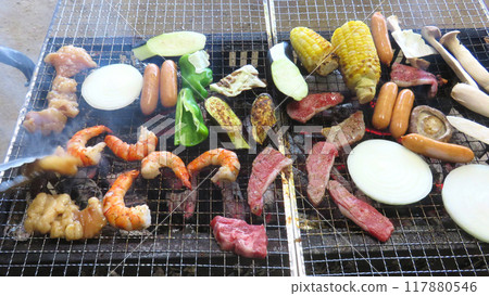 Grilled meat barbecue 117880546
