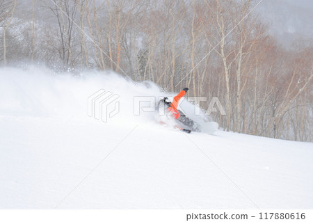 野外滑雪 野外滑雪 117880616