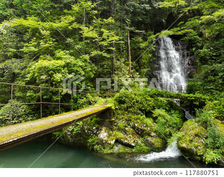 Dobayashi Falls, Ochi Town, Kochi Prefecture 117880751