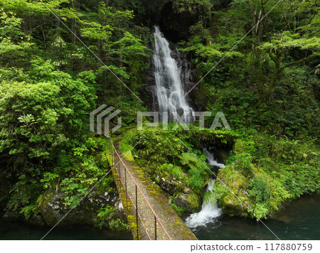 Dobayashi Falls, Ochi Town, Kochi Prefecture 117880759