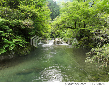 高知縣大知町小切川風景 高知縣大知町小切川風景 117880780