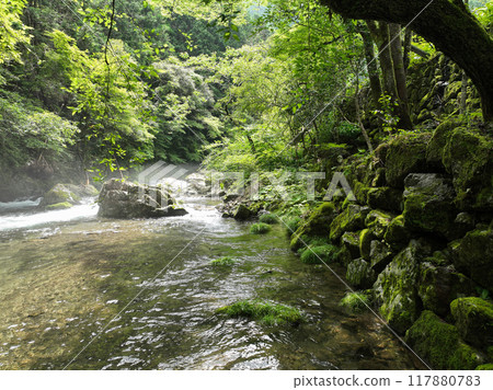 Scenery of the Ogiri River in Ochi Town, Kochi Prefecture Scenery of the Ogiri River in Ochi Town, Kochi Prefecture 117880783