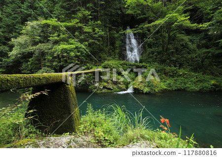 高知縣大知町堂林瀑布 117880816