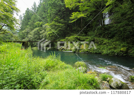 高知縣大知町堂林瀑布 117880817