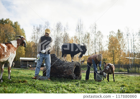 Wide angle shot of two adult farmers in warm clothes feeding domestic goats on green meadow with huge log against autumn trees at livestock farm, copy space 117880860