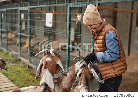 Side view shot of smiling mature female farmer in warm clothes feeding domestic goats from metal bucket against farm cages during autumn season, copy space Side view shot of smiling mature female farmer in warm clothes feeding domestic goats from metal bucket against farm cages during autumn season, copy space 117880862