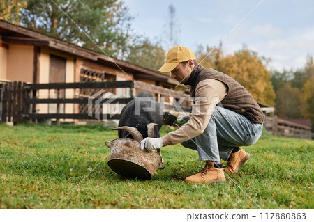 Side view of adult male farmer in warm clothes feeding black goat as animal eating from round trough on green meadow at countryside farm during autumn season, copy space Side view of adult male farmer in warm clothes feeding black goat as animal eating from round trough on green meadow at countryside farm during autumn season, copy space 117880863