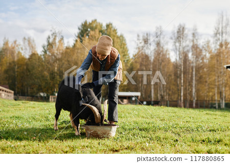 Full shot of mature female farmer in warm clothes brushing black goat as animal eating from round trough on green meadow at countryside farm during autumn season, copy space 117880865