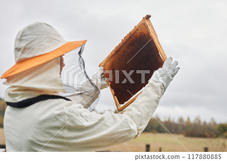 Back view of unrecognizable apiarist in protective suit inspecting hive frame holding honeycomb against grey autumn sky at apiary farm, copy space Back view of unrecognizable apiarist in protective suit inspecting hive frame holding honeycomb against grey autumn sky at apiary farm, copy space 117880885
