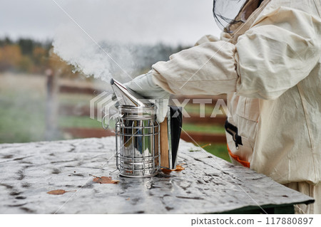 Close up on hand of beekeeper in protective bee suit taking bee smoker puffing smoke before using device to calm bees down at apiary farm, copy space 117880897
