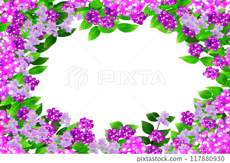 紫式部花果卡2 紫式部花果卡2 117880930