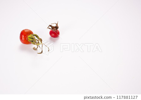 Rose hips isolated on white background. Healthy. Copy space. Close up 117881127