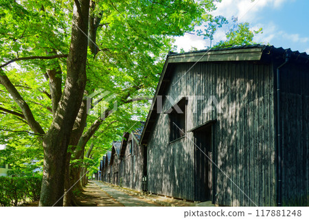 Yamai倉庫和Zelkova樹木 117881248