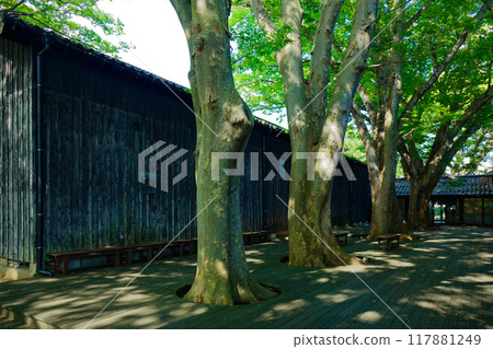 Yamai倉庫和Zelkova樹木 117881249